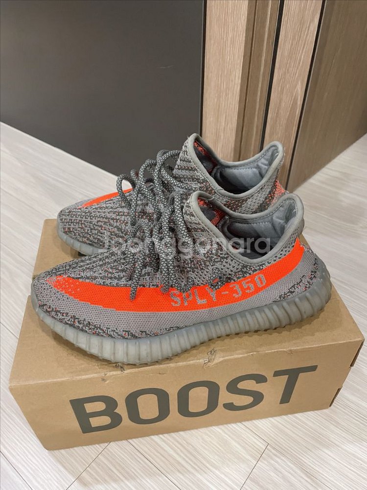 이지부스트 벨루가 리플렉티브 255--0