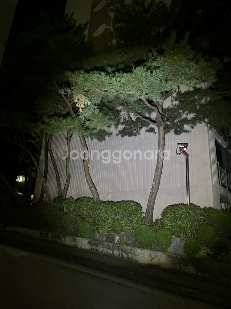 2500루멘 낚시 해루질 캠핑용 고광량 C타입 헤드랜턴--6