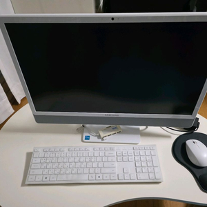 삼성 올인원PC (DM530ADA)