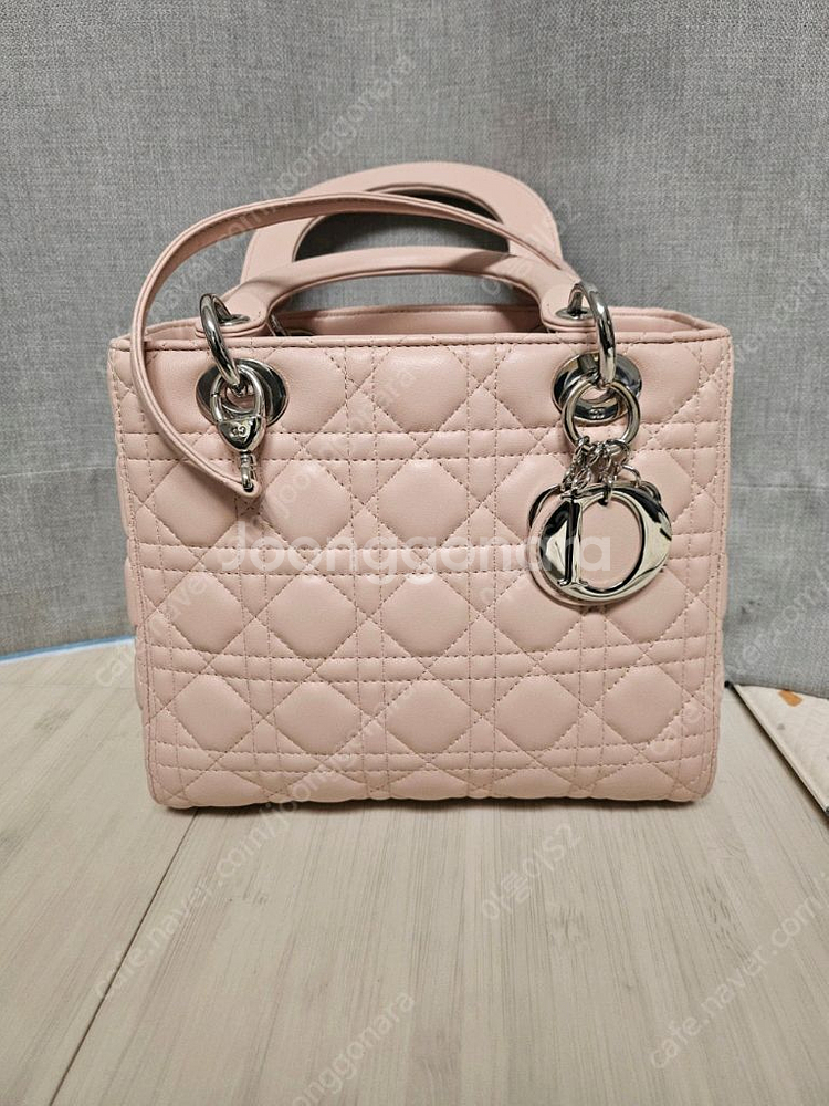 디올 레이디백--0