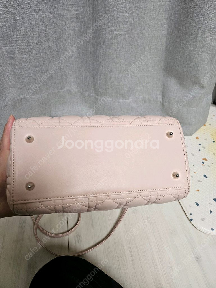 디올 레이디백--5