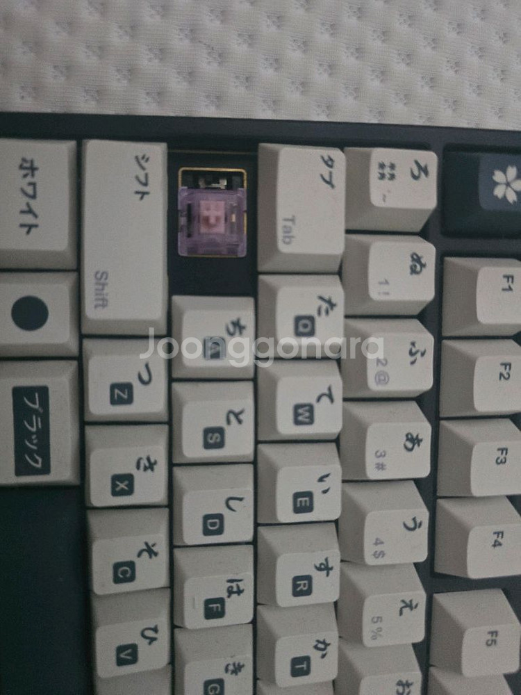 타이거80라이트 무선 Tiger80 lite 무선--3