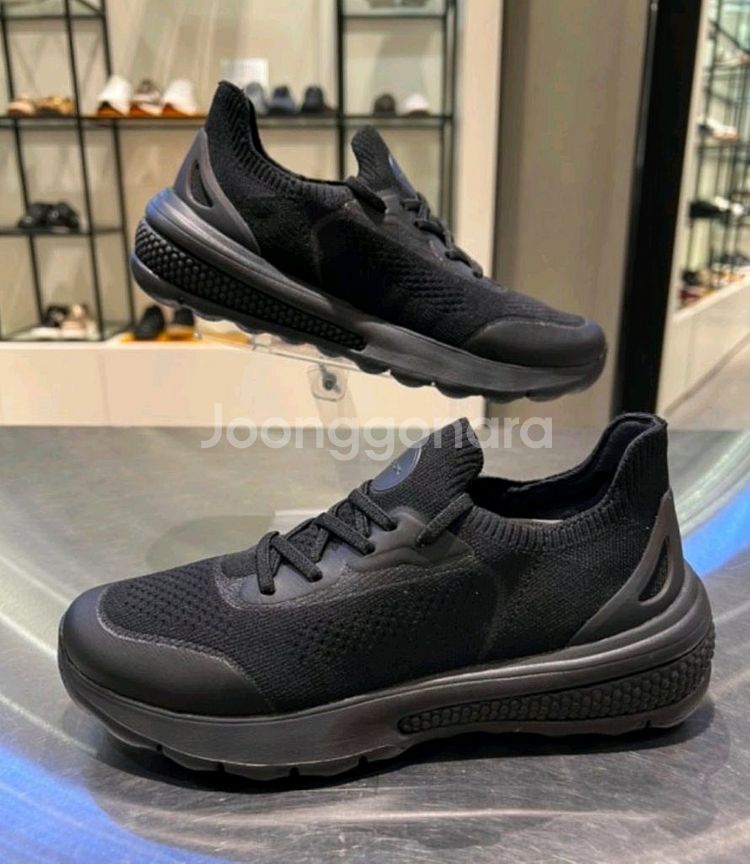 제옥스 남성 스니커즈 스페리리카 EU42 운동화-275--3