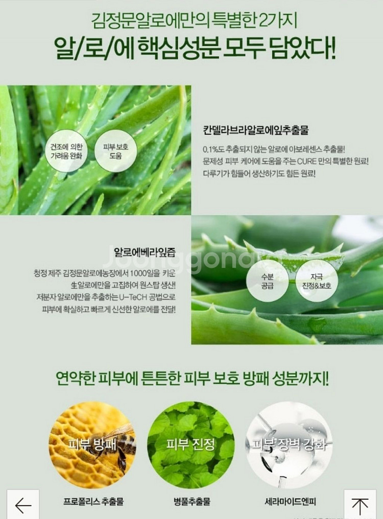 김정문알로에 큐어인텐시브2X크림 최신상--7