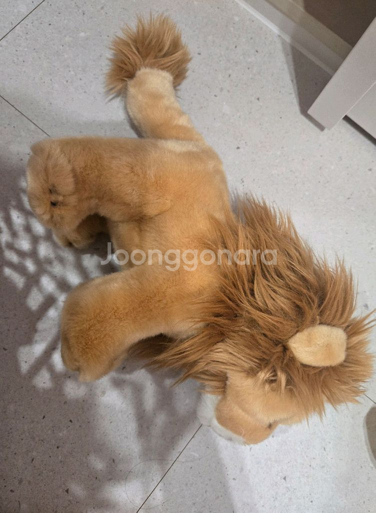 에버랜드 사파리 사자 인형--1