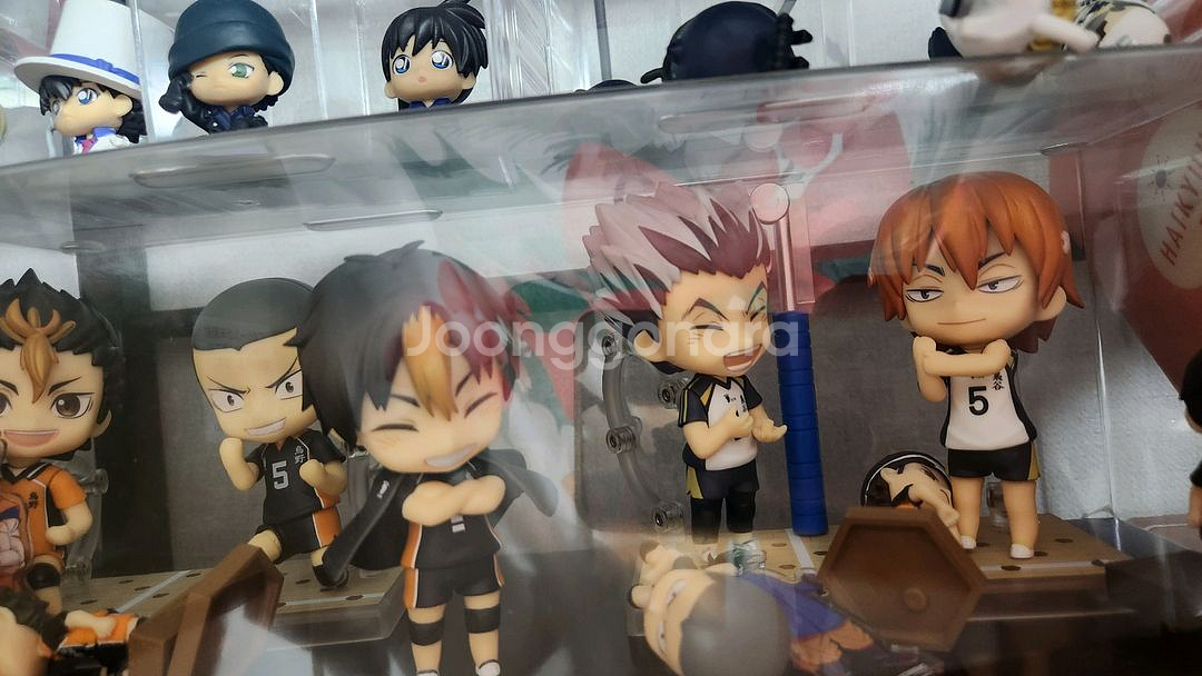 하이큐 넨도로이드--1