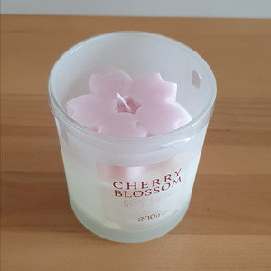 벚꽃 캔들 (새상품)