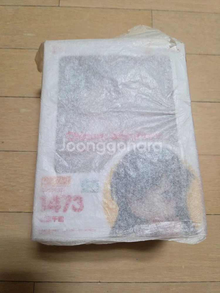 1473 미즈하라 치즈루 넨도로이드--1