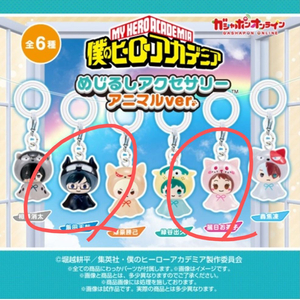 나히아 나의 히어로 아카데미아 메지루시 이이다 오챠코