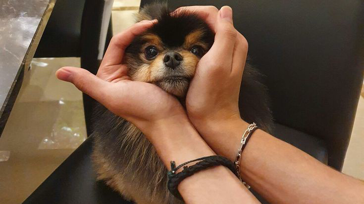 프로필 이미지