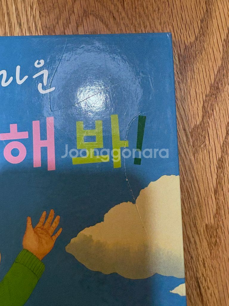 앤서니 브라운 책 11권 일괄--4
