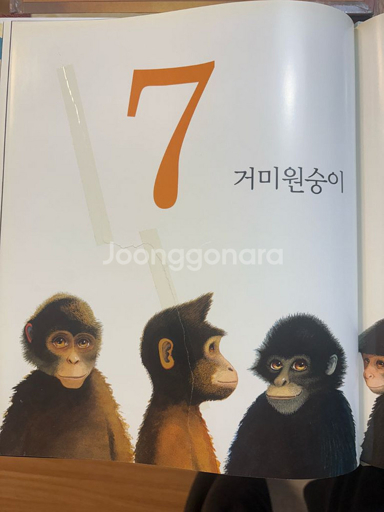 앤서니 브라운 책 11권 일괄--3
