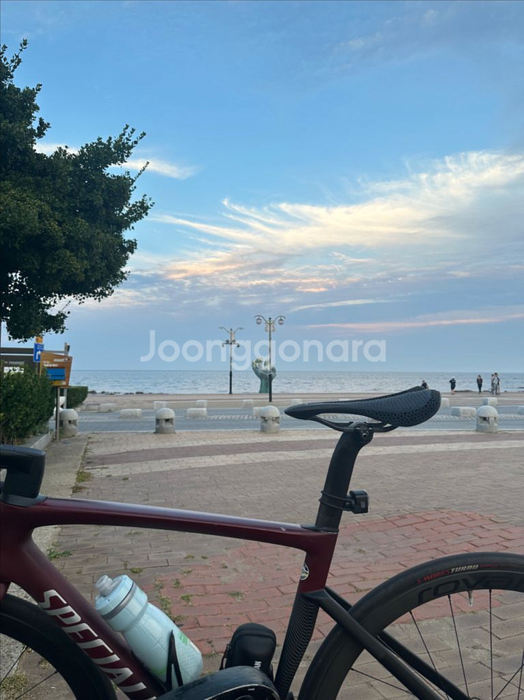 스페셜라이즈드 타막 SL7 익스퍼드--4