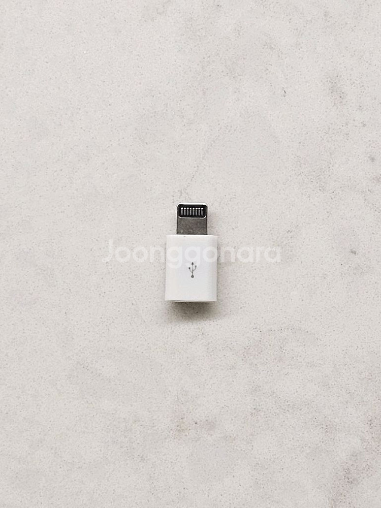 C to 8핀 젠더 (라이트닝, 아이폰)--3