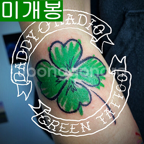 데디오레디오 - GREEN TATOO (미개봉, CD)--0