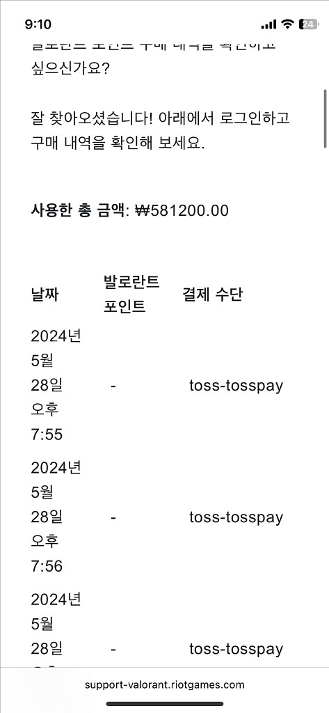 발로란트 굿즈--2
