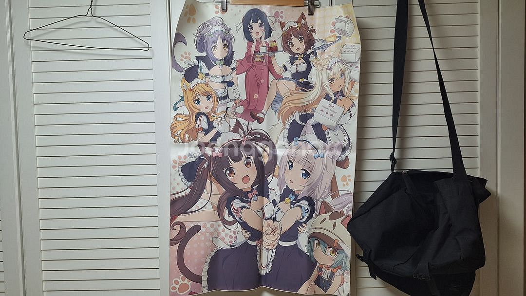 네코파라, 페이트 그랜드 오더, 벽람항로, 그랑블루--0