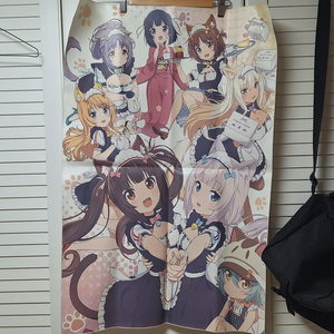 네코파라, 페이트 그랜드 오더, 벽람항로, 그랑블루