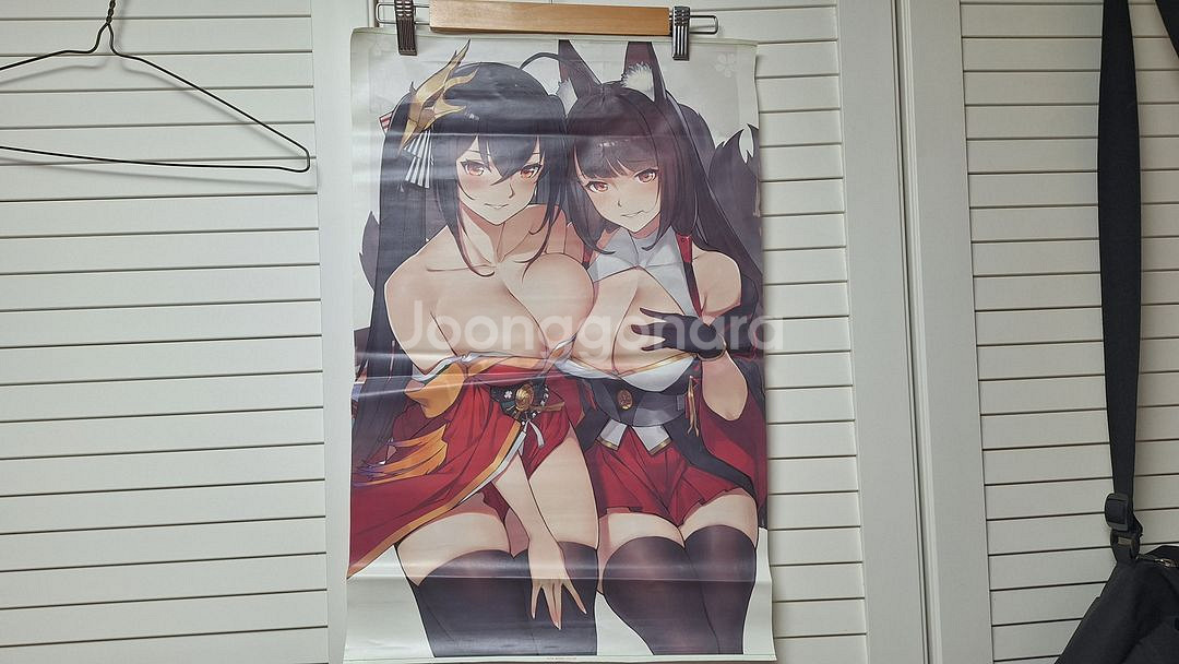 네코파라, 페이트 그랜드 오더, 벽람항로, 그랑블루--1