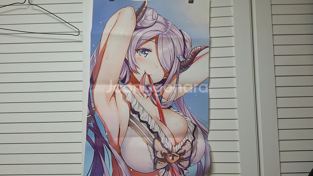 네코파라, 페이트 그랜드 오더, 벽람항로, 그랑블루--3