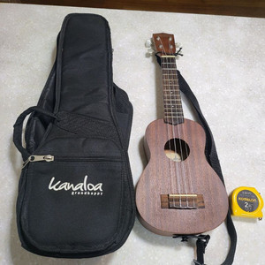 우크렐레(kanaloa GS-10 54cm)팝니다
