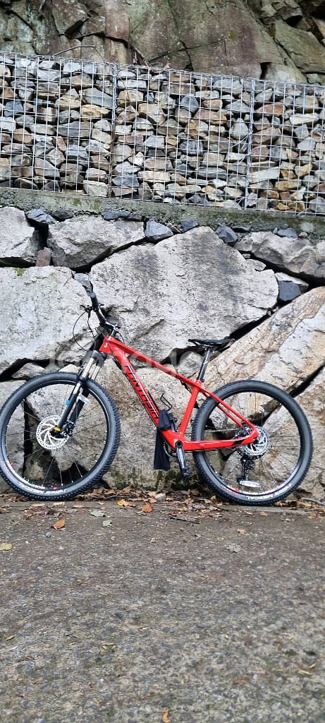 엘파마 판타시아 S7 카본MTB--5