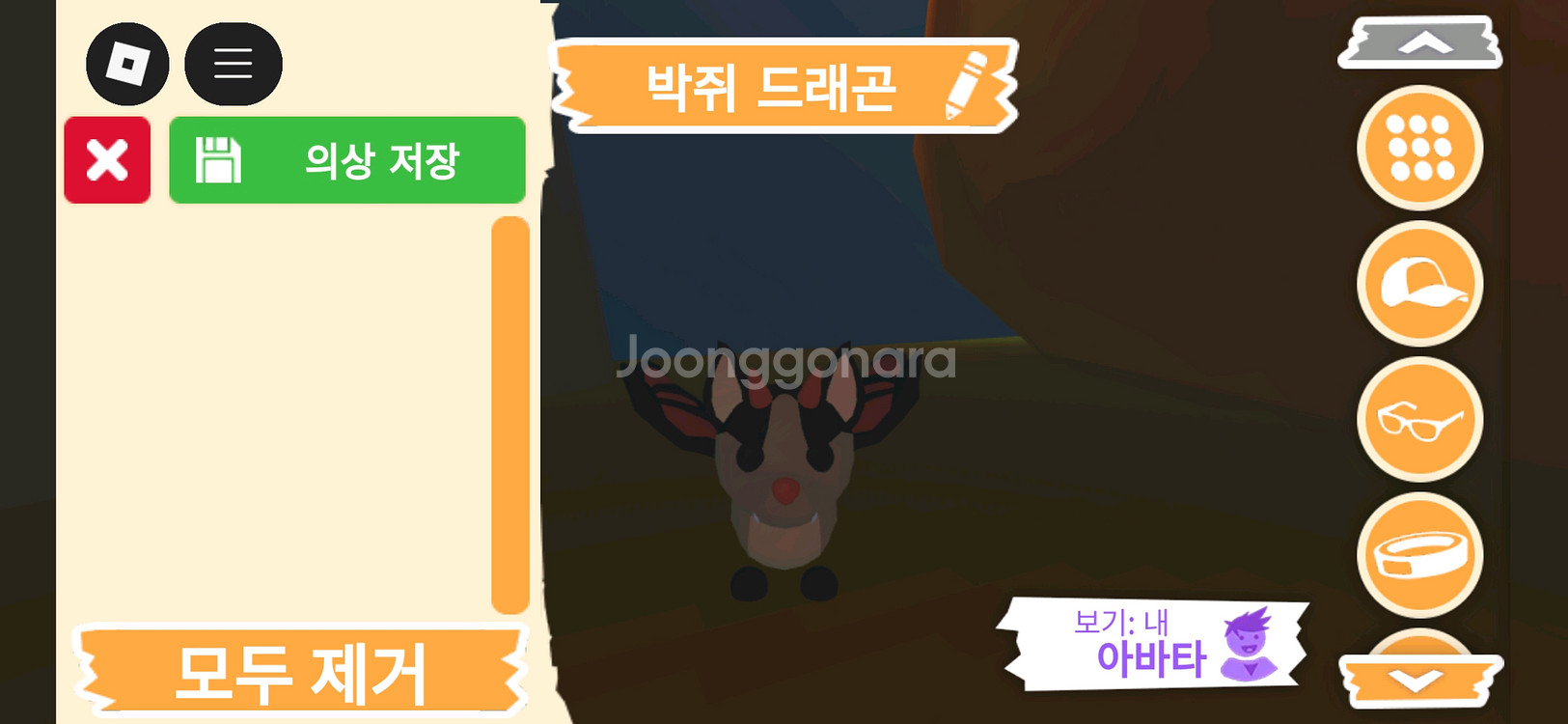 입양하세요 펫 박쥐 드래곤(박드) 판매합니다--0