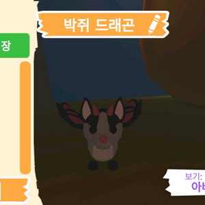 입양하세요 펫 박쥐 드래곤(박드) 판매합니다