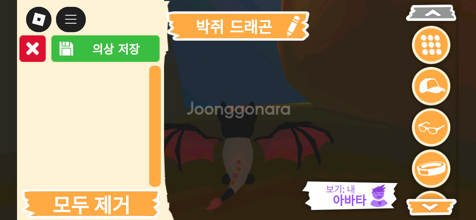입양하세요 펫 박쥐 드래곤(박드) 판매합니다--3