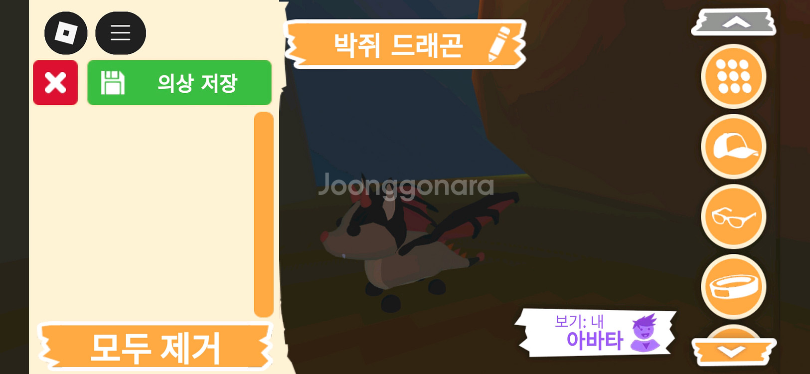 입양하세요 펫 박쥐 드래곤(박드) 판매합니다--2