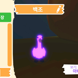입양하세요 펫 메가 네온 백조(메백조) 판매합니다