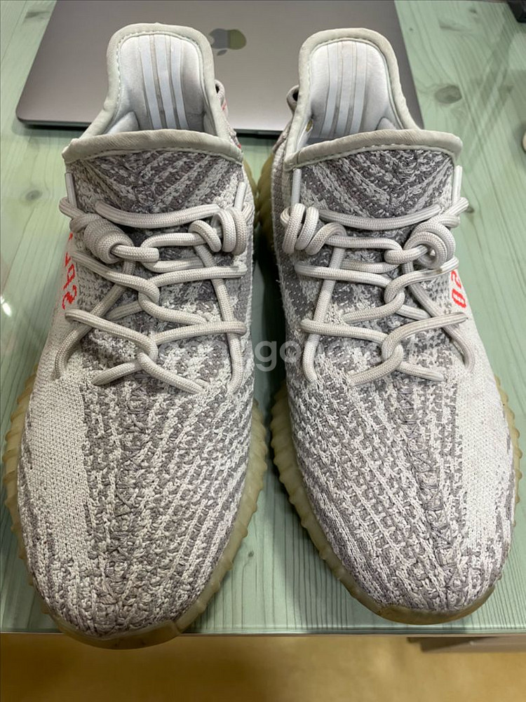 이지부스트 블루틴트 270--2