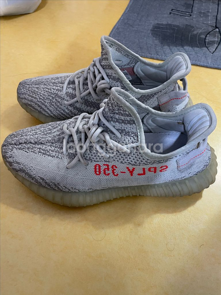 이지부스트 블루틴트 270--1