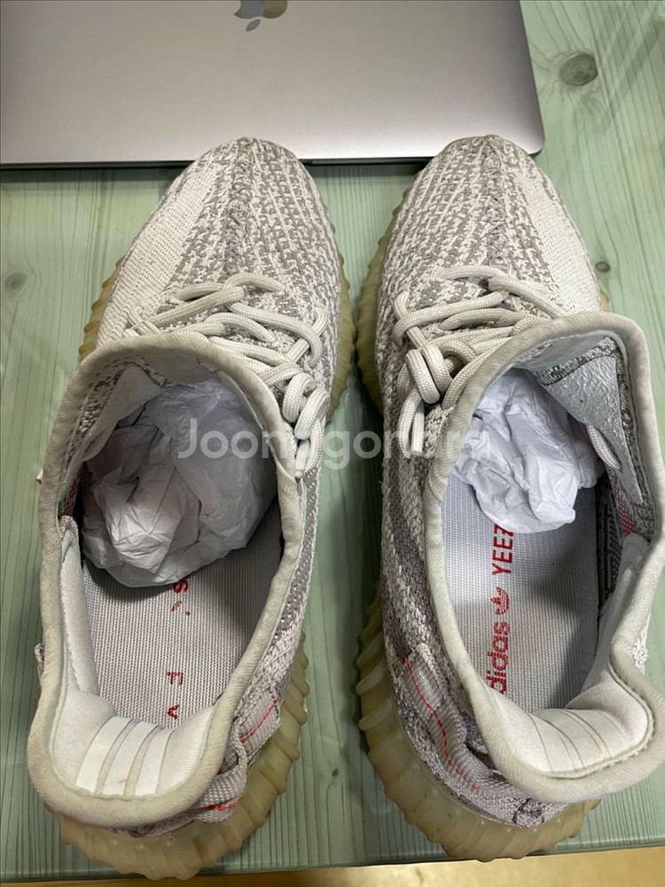 이지부스트 블루틴트 270--3