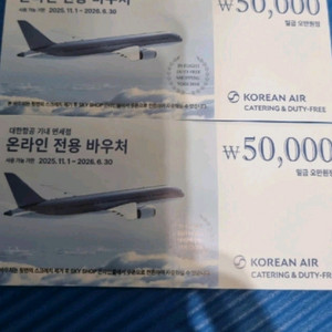 대한항공 기내면세점 온라인전용 5만원권 두매