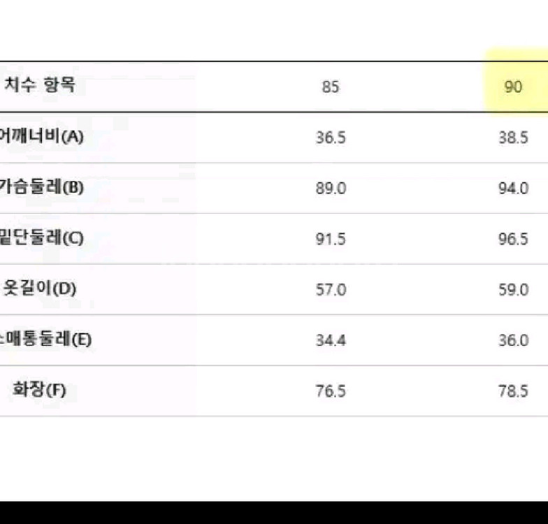 새상품급 디스커버리 구스 경량패딩90--4