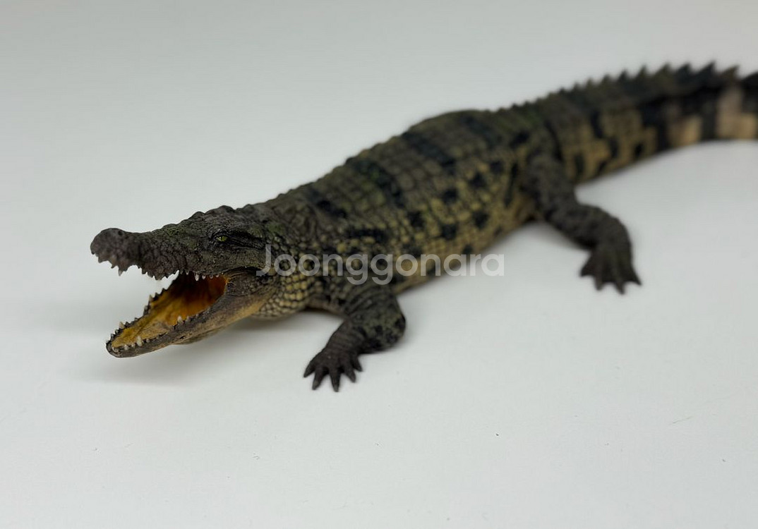 다페이 스튜디오 나일악어 피규어 악어 악어피규어--0