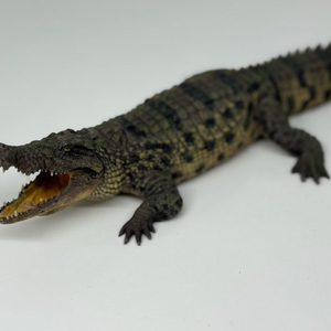 다페이 스튜디오 나일악어 피규어 악어 악어피규어