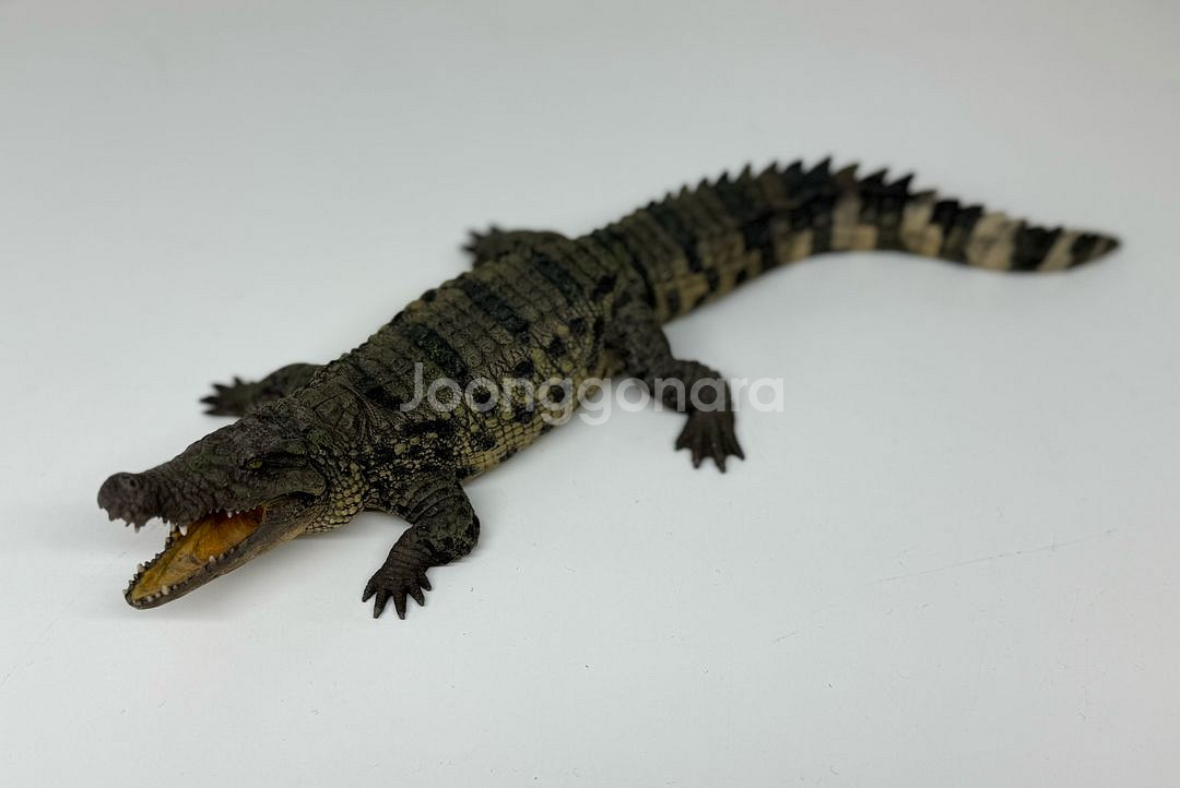 다페이 스튜디오 나일악어 피규어 악어 악어피규어--2