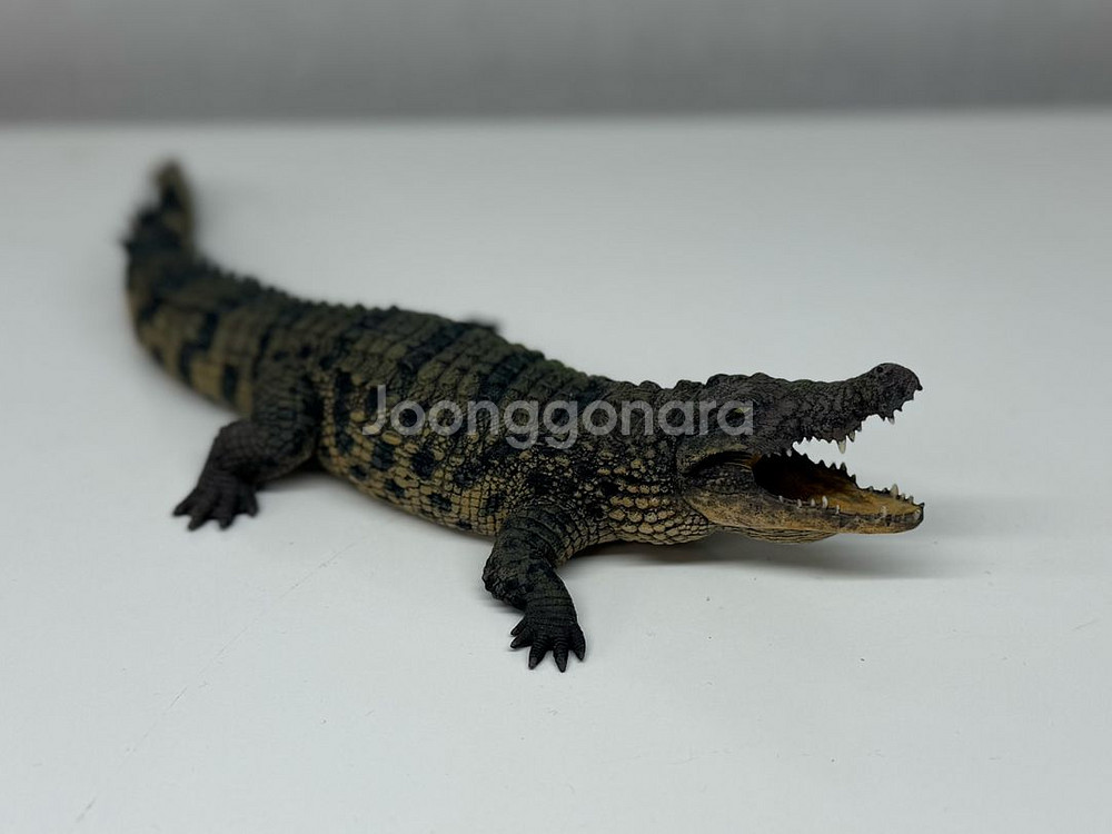 다페이 스튜디오 나일악어 피규어 악어 악어피규어--1
