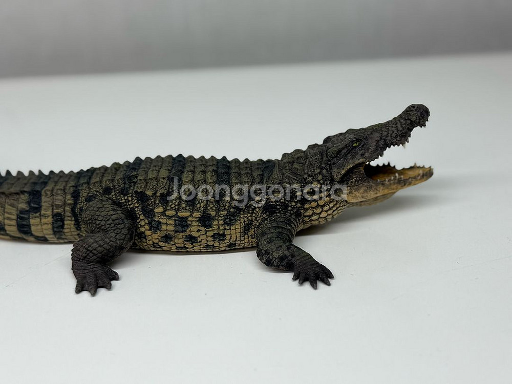 다페이 스튜디오 나일악어 피규어 악어 악어피규어--5
