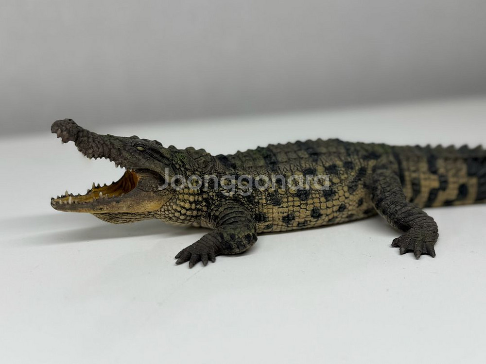 다페이 스튜디오 나일악어 피규어 악어 악어피규어--3