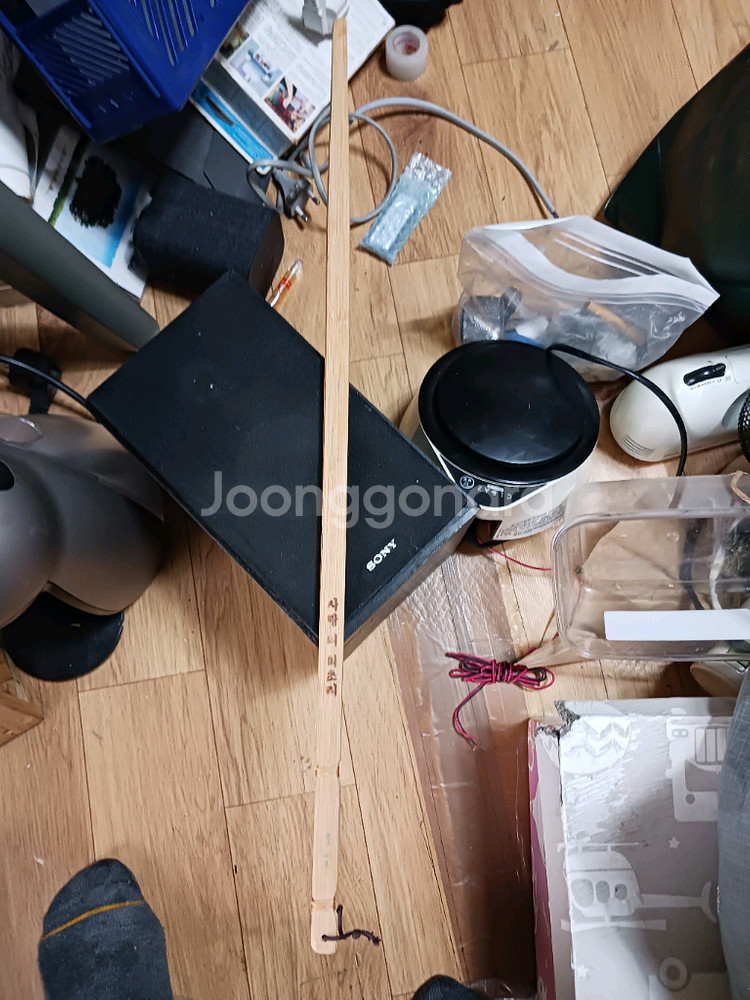 사랑의 회초리 처분--1