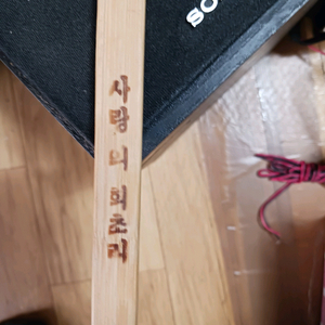 사랑의 회초리 처분