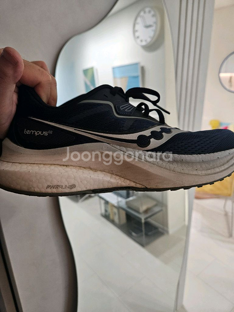 (270mm)써코니 템퍼스2--0