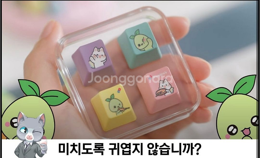 모코코 키캡 로아 로스트아크--0