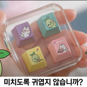 모코코 키캡 로아 로스트아크