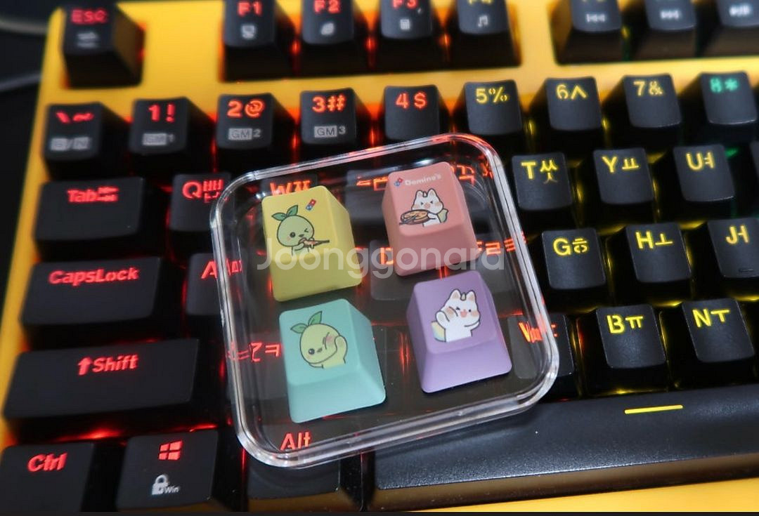 모코코 키캡 로아 로스트아크--4