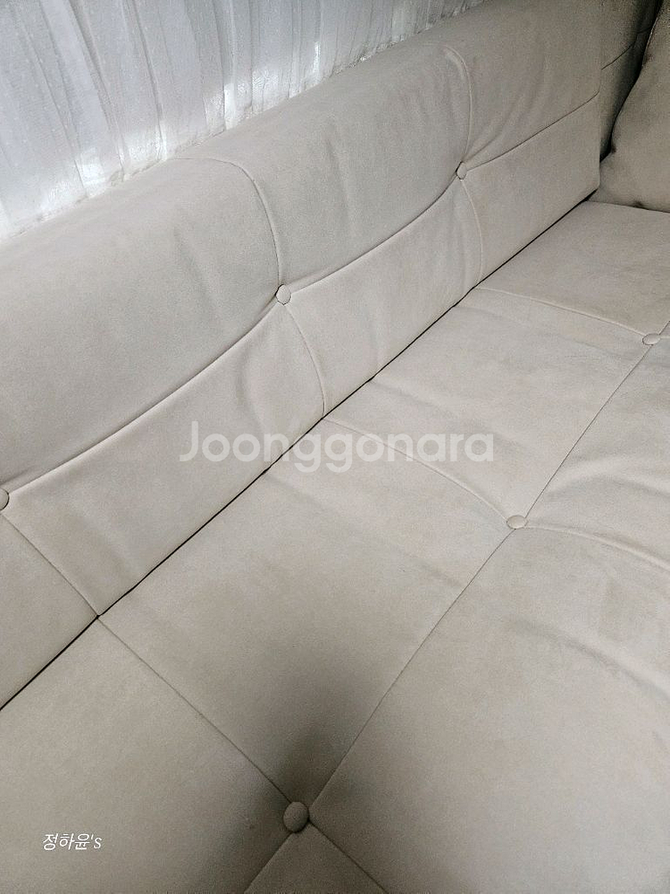 베일리피닉스650카라반--3