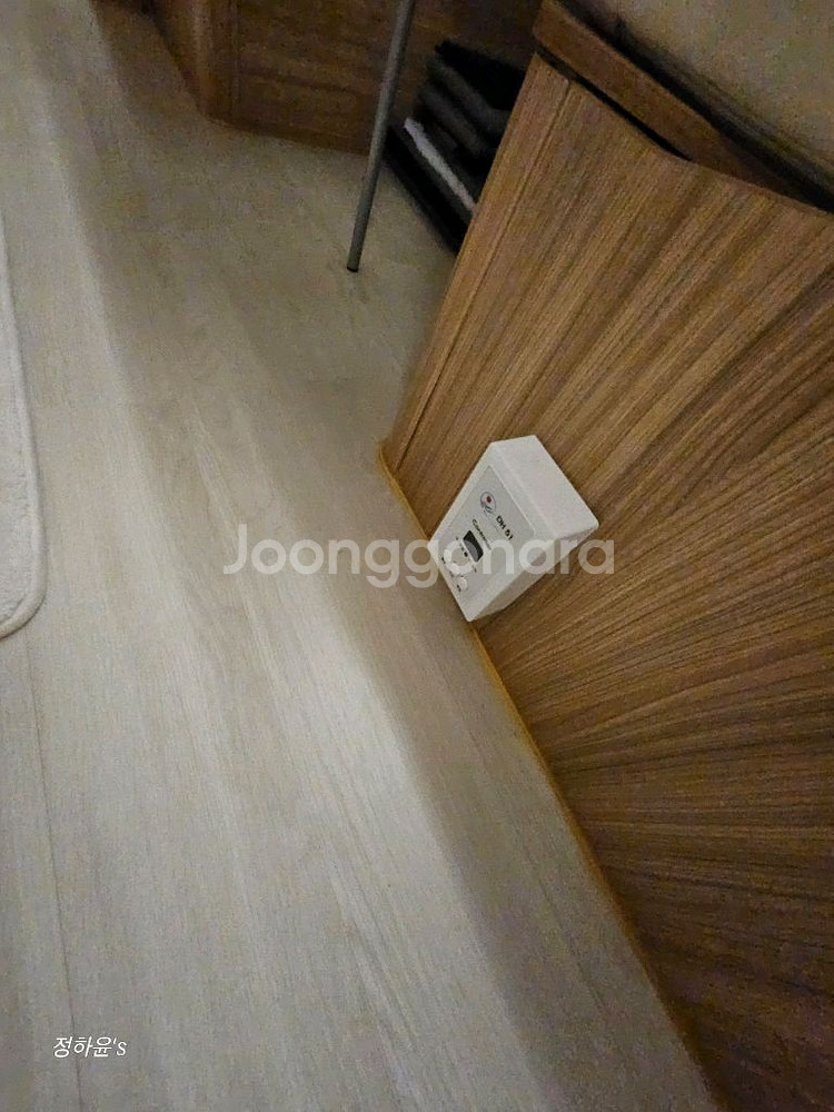 베일리피닉스650카라반--8